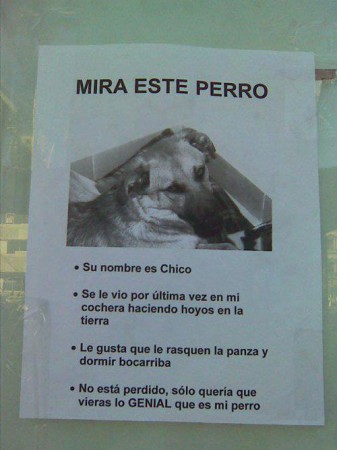 Chico, se llama